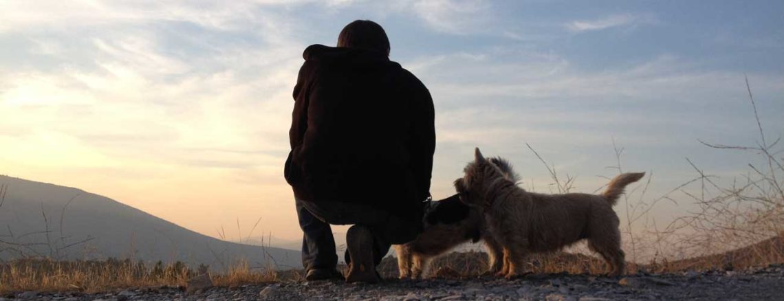 Image contains a photo of a man squatting and facing away from the camera. On the right-hand side of the man, there are two small dogs looking towards him. In the distance, the sky is a mix of pale pinks and blues as the sun sets.