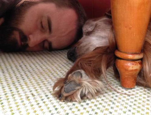 Image contains a photo of a male laying down on a carpeted floor with his head touching the head of a red Irish setter that is laying down on the floor as well. The Irish setter's paw can be seen coming into the foreground to the left of a wooden table leg. Behind the pair, there is a red leather couch.