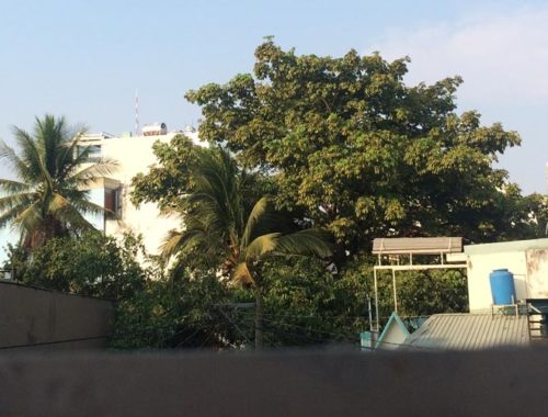 Image contains a photo from a bedroom window. White metal bars are visible in the foreground, and there is a blue sky and green trees in the background. Along with the trees, there are a number of small concrete houses.