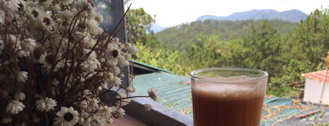 Image contains a photo taken from an open window. In the background, there are rolling hills covered in tall green trees against a blue sky. In the foreground, there is a small pot of white flowers.