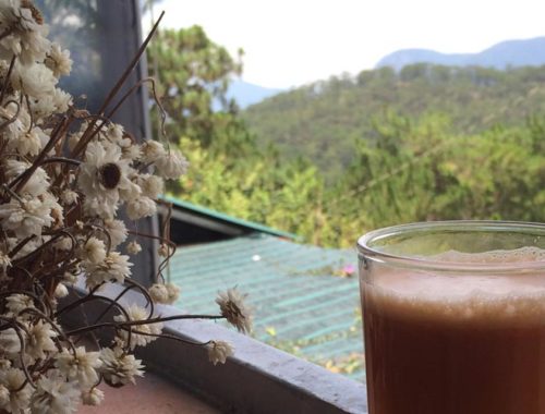 Image contains a photo taken from an open window. In the background, there are rolling hills covered in tall green trees against a blue sky. In the foreground, there is a small pot of white flowers.