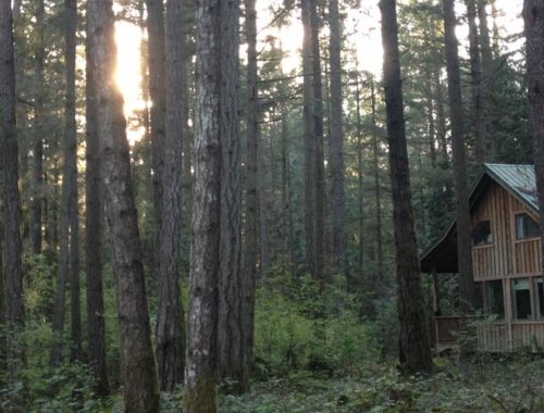 Image contains a photo of a small house in a forest. In the background, the sun is seen setting through the trees.