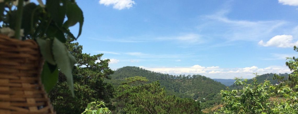 Image contains a photo taken from a picnic table. In the background, there are rolling hills covered in tall green trees against a blue sky.