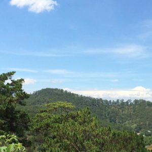 Image contains a photo taken from a picnic table. In the background, there are rolling hills covered in tall green trees against a blue sky.