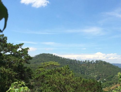 Image contains a photo taken from a picnic table. In the background, there are rolling hills covered in tall green trees against a blue sky.