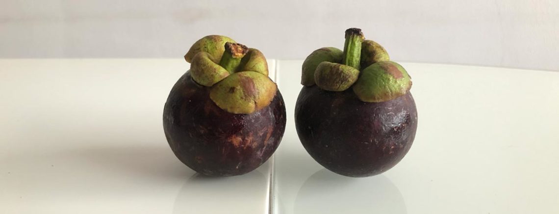 Image contains a photo of two small purple fruit with green stems (mangosteens) on a white table with a white background.