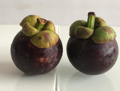 Image contains a photo of two small purple fruit with green stems (mangosteens) on a white table with a white background.